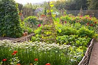 Vegetable garden in late summer, Allium tuberosum; Cucurbita pepo, Phaseolus vulgaris 