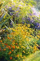 Asters, coneflowers and marigolds 