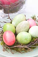 Pastel colored eggs 