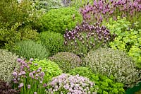 Herb garden 