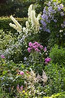 Perennial bed with delphinium 
