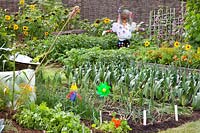 Vegetable garden with scarecrow 