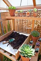 Potting place in the greenhouse 
