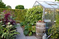 Greenhouse with rain barrel 