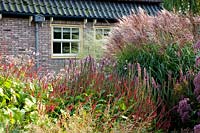 Front garden with grasses and perennials 
