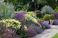 Perennial bed in blue, yellow, purple 