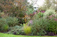 Perennials and woody plants 
