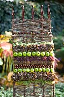 Floristry with seed heads and apples in autumn 