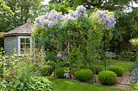 Small garden with garden house and pergola with wisteria 