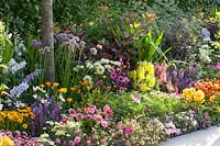 Bed with annuals and perennials 