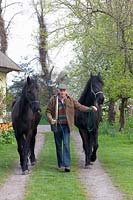Peter Wijnen with his Frisian horses,Peter Wijnen with his Frisian horses 