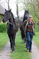 Peter Wijnen with his Frisian horses 