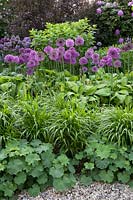 Bed with perennials, grasses and ornamental onions 