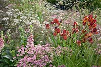 Perennial combination with grasses 