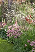 Perennial planting with grasses 