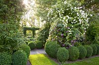 Garden with rambler rose, Rosa Lykkefund 