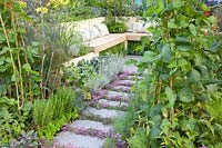 Vegetable garden with thyme between joints, Thymus 