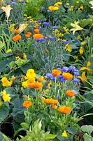 Combination of annuals, vegetables and herbs 