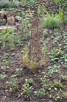 Newly planted perennial bed 