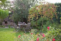 Seating area between roses and ornamental apple,Rosa Heidetraum,Malus Red Sentinel 