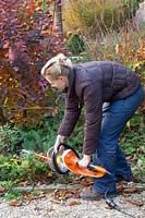 Pruning perennial beds with electric hedge trimmer 