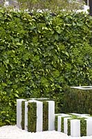 Modern garden with privacy screen, Asplenium scolopendrium, Soleirolia soleirolii 