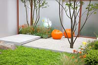 Modern small garden with background projection,Geum, Stipa tenuissima,Iris 