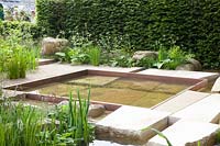 Modern garden with water basin 