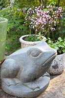 Frog made of stone and saxifrage in pot, Saxifraga umbrosa 
