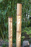 Bamboo tubes as decoration 