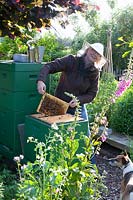 Margret Wermert beekeeping 