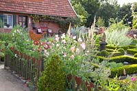 Garden in midsummer, Lathyrus odoratus 