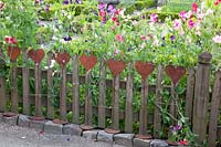 Wooden fence with hearts 