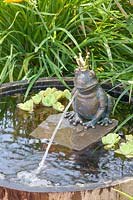 Mini pond with frog as gargoyle 