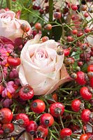 Decoration with berries and flowers, Rosa Upper Secret, Euonymus alatus 