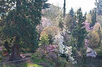 Overview Botanical Garden of Otto Eisenhut 