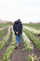 Owner, gardener, Josephine Dekker inspects her daffodil nursery 