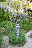 Herb garden, Wisteria sinensis 