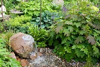 Mini pond with bubble stone, Hosta, Hydrangea quercifolia, Alchemilla mollis, Asplenium scolopendrium 
