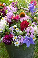 Bouquet with perennials and dahlias in zinc bucket, Echinacea purpurea, Phlox paniculata Hesperis, Kalimeris incisa Madiva, Dahlia, Platycodon grandiflorus, Monarda 