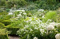 White garden with Phlox, Hydrangea arborescens Annabelle, Echinacea purpurea 