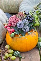Pumpkin arrangement, Cucurbita pepo, Hedera helix, Sedum Herbstfreude, Malus Red Sentinel, Echinops ritro Veitchs Blue etc. 