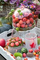 Tray with ornamental apples, false hedge vine and ornamental cucumbers, Malus Red Sentinel, Cucumis dipsaceus, Cucumis zeiheri, Diplocyclos palmatus 