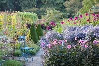 Vegetable garden, Dahlia HS Juliet; Dahlia Deborah Renee Aster Little Carlow; Boxwood 