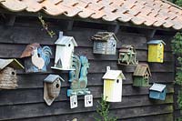 Still life birdhouses 