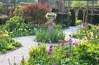Formal Garden,Taxus, Tulipa Queen of Night,Tulipa Negrita,Tulipa Princess Irene,Narcissus WPMillner,Berberis thunbergii 