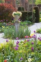 Formal Garden,Taxus,Tulipa Negrita,Tulipa Princess Irene,Narcissus WPMillner 