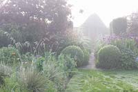 Garden in the Mist, Helictotrychon sempervirens,Buxus,Allium 