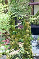 Column with moss, vertical gardening 