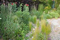 Gravel garden, Stipa tenuissima, Nassella tenuissima, Linaria purpurea, Papaver somniferum 